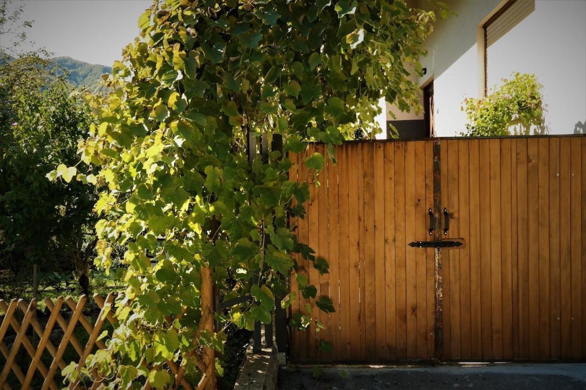 Moksha Slovenia 托尔明 外观 照片