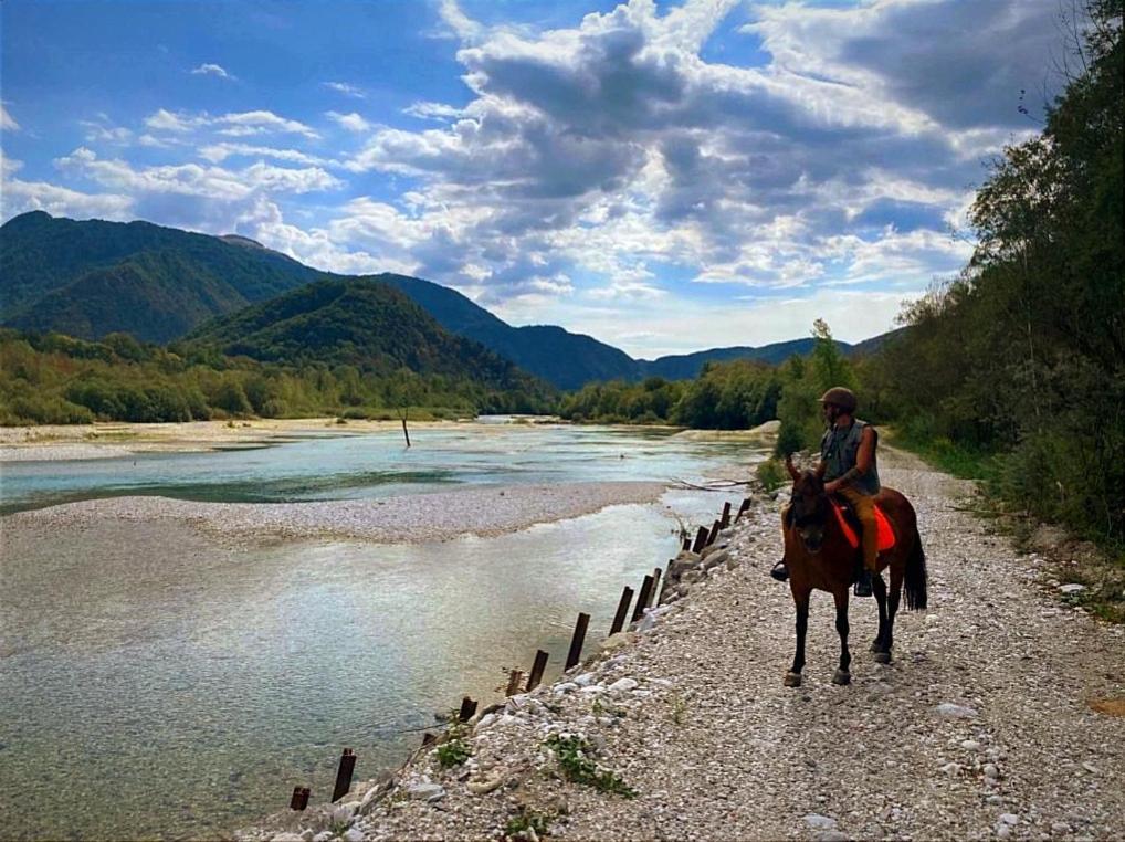 Moksha Slovenia 托尔明 外观 照片